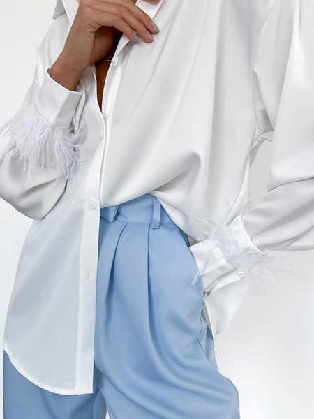 Satin Long Sleeve Blouse with Feather Decoration CAN-X-DID